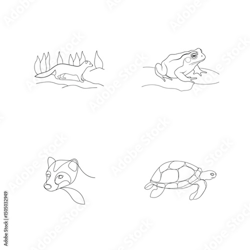 Line drawing of common animals including frog turtle badger and weasel vector illustration