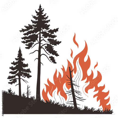 pine trees are burning in a forest fire forest fire transparent background