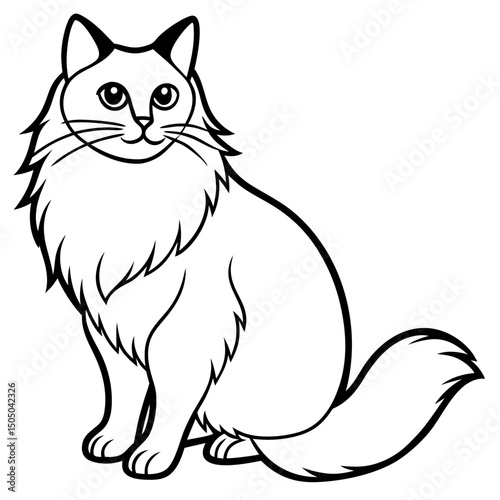 Simple Birman Cat Vector on White Background