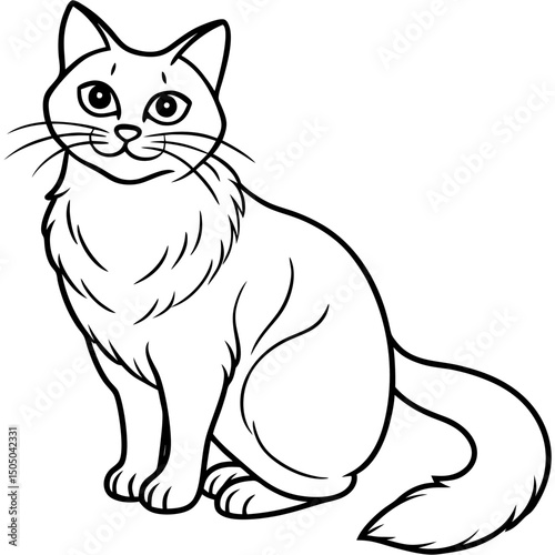Simple Birman Cat Vector on White Background