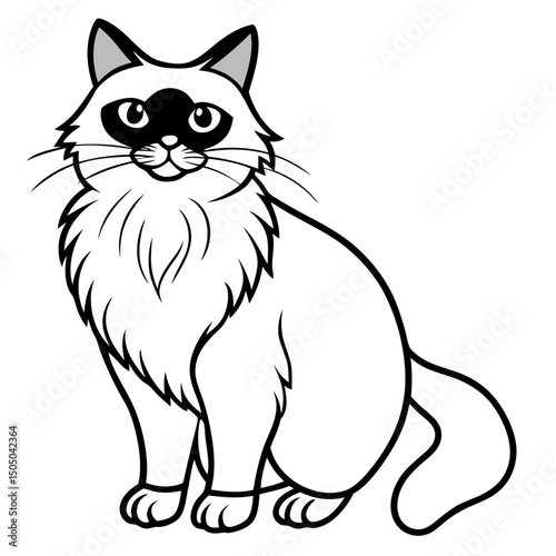 Simple Birman Cat Vector on White Background