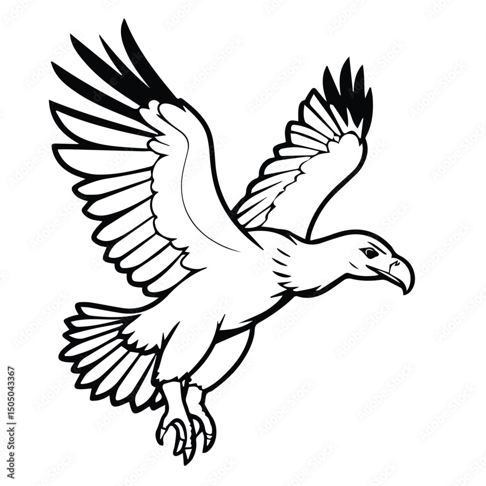 Fototapeta premium Bald eagle in flight against a plain white background. Powerful soaring bird in mid-air with outstretched wings.
