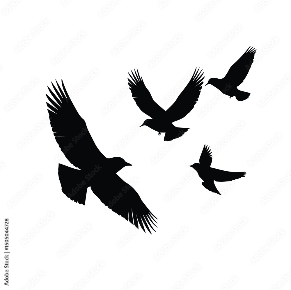 Obraz premium Bird silhouettes in flight against a white background. Three birds in various positions of flight, showcasing the elegance and freedom of movement.