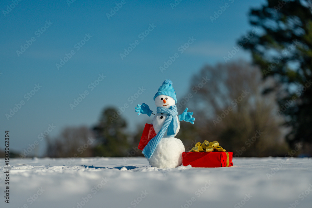 Obraz premium Snowman on snow background. Winter holiday scene. Snowman with scarf and hat. Snow design. Happy snowman outdoor. Snow banner. Frosty snowman. Winter greeting card. Cute snow man. Winter holiday.