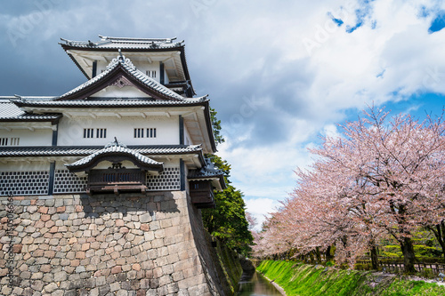Sukura tree row in kanazawa castle and kenrokuen garden, Kanazawa, Japan
