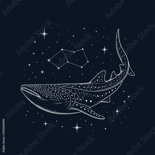 blue whale night scenery line art illustration premium quality