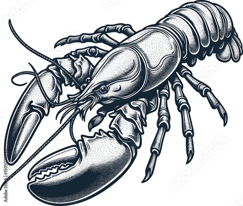 lobster line art design illustration premium quality