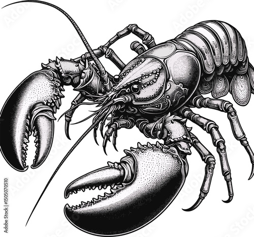 lobster line art design illustration premium quality