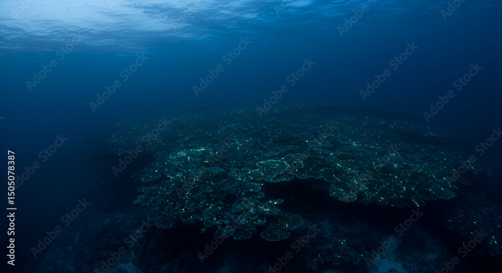 Fototapeta premium Scenic underwater view of a vibrant coral reef system in the deep ocean waters
