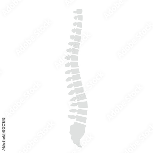 Spinal fracture vector illustration