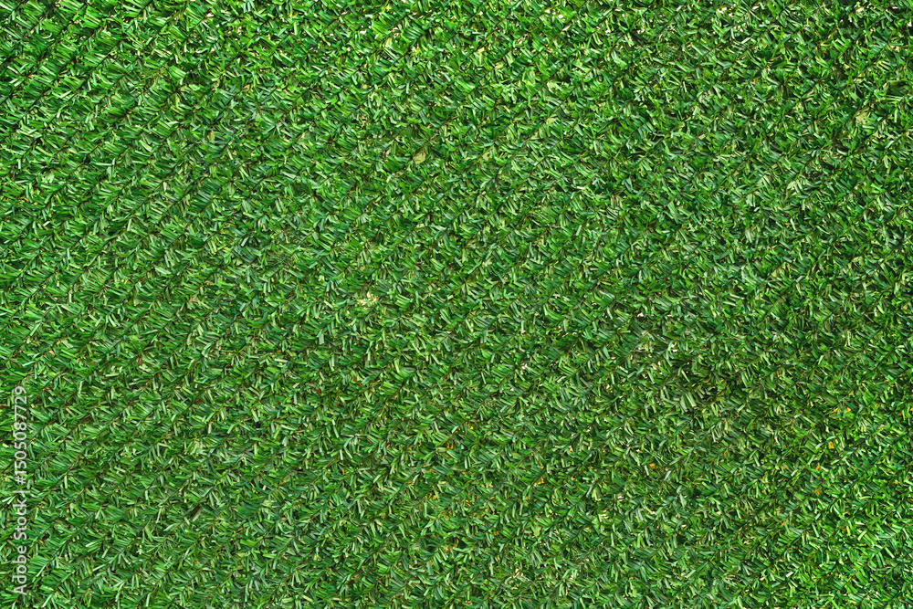 Fototapeta premium Artificial grass fence coating pattern as background