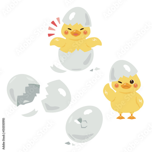 羽化したアヒルのヒナのイラストセット
