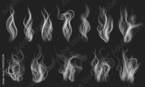 Transparent food smoke, fire flame and wavy fog or sky cloud with overlay texture. Nature or weather element, misty haze, cigarette fume and chimney vapor. Hot water, tea or coffee steam. Salmon smoke