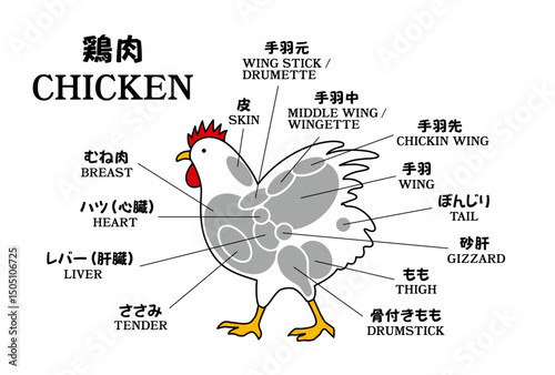 チキン部位