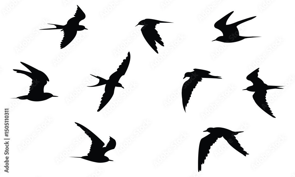 Obraz premium Flying Aleutian tern bird Silhouette Design And Vector Illustration. 