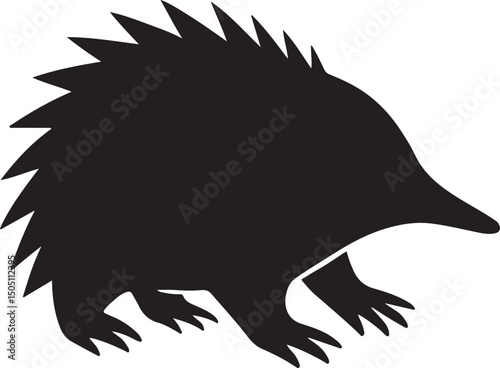 Photos echidna vector