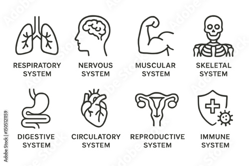 Diagram illustrating human body systems with icons for biological education