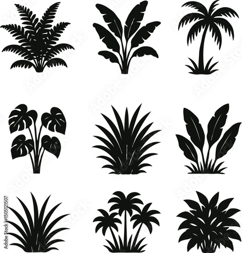 Different types of jungle plants silhouettes