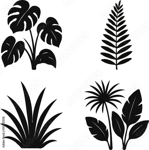 Different types of jungle plants silhouettes