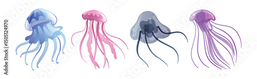 Jellyfish and Sea Jelly as Free-swimming Marine Animal Vector Set