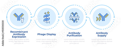 Antibody production process infographic 4 steps. Phage display. Antibody purification. Flow chart infochart. Editable vector info graphics icons. Montserrat-SemiBold, Regular fonts used