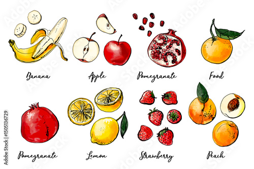 Vector drawing fruits, black line, color. Food illustration. Banana, apples, strawberry, peach, pomegranate.