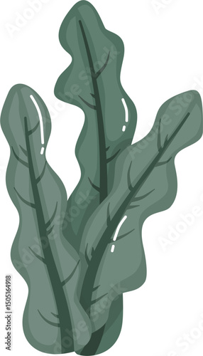 Cute seaweed illustration