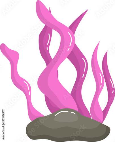 Pink seaweed on a rock illustration