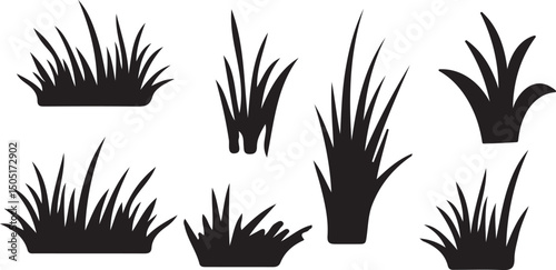 Collection of black silhouettes of various grass types