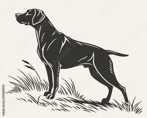 Pointer dog breed vector illustration standing in grass field silhouette for pet lovers and animal enthusiasts