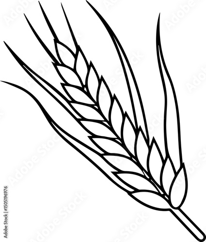 wheat outline vector illustration line art coloring book page