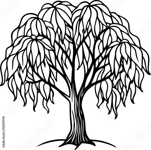 willow tree outline vector illustration line art coloring book page