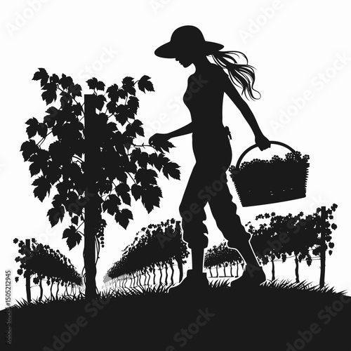 Silhouette of Woman Harvesting Grapes in Vineyard Landscape - Black and White Illustration