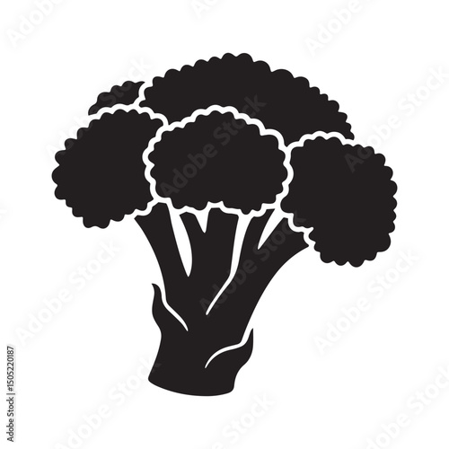 Broccoli style vector illustration Silhouette White background