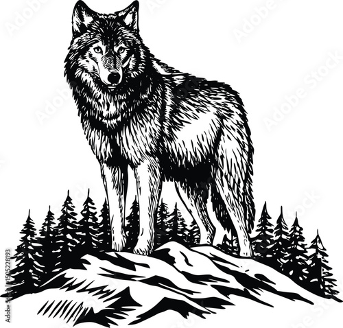Monochrome Illustration of a Wolf Standing on a Rocky Hill Surrounded by Trees