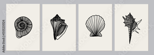 Seashell Collection Line Art Set