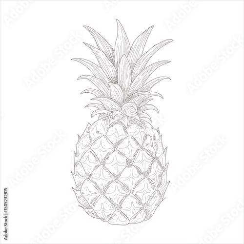 A pineapple is drawn in black and white. The drawing is simple and minimalistic, with the focus on the pineapple's shape and texture. Concept of calm and serenity