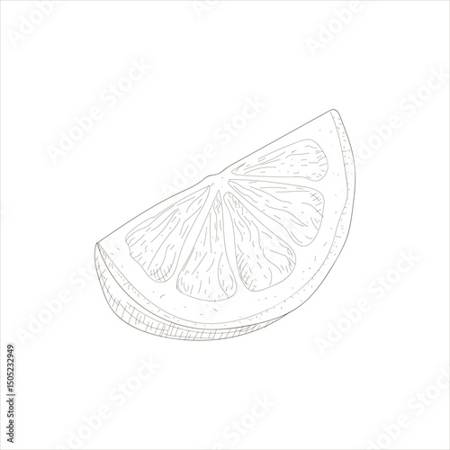 A close up of a lemon slice. The slice is cut in half and the viewer can see the seeds. The image is in black and white