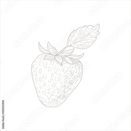 A strawberry is drawn in black and white. The drawing is simple and minimalistic, with the focus on the fruit itself. The lack of color and detail gives the image a clean and modern feel