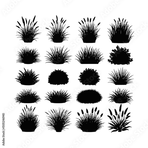 set of bush grass shrub herb silhouette vector transparent background, grass brushes.
