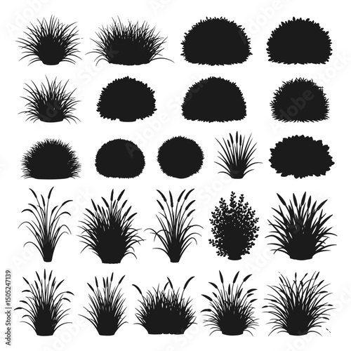 set of bush grass shrub herb silhouette vector transparent background, grass brushes.