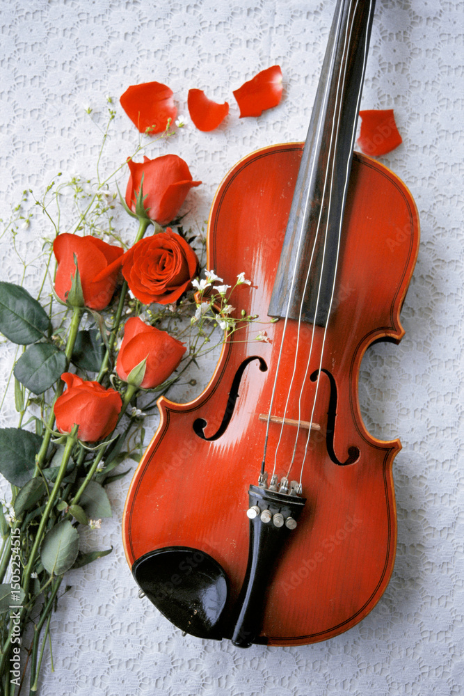 Fototapeta premium Flower roses with violin
