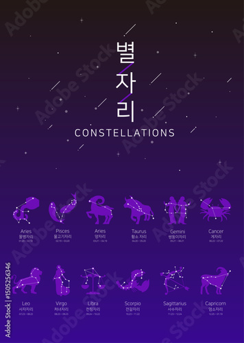 별자리 벡터 일러스트 그래픽 디자인 
