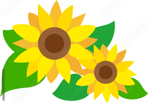 暑い夏　大輪のヒマワリの花