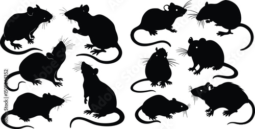Collection of Black Rat Silhouettes in Various Poses on White Background