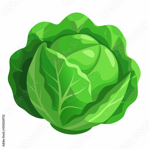 Realistic full-body green cabbage illustration on a clean white background, perfect for food, farming, and healthy lifestyle-themed design projects.
