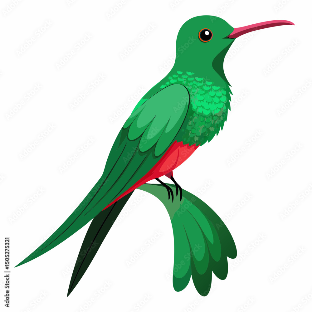 Fototapeta premium Realistic full-body illustration of the rare Honduran Emerald bird on a white background, perfect for wildlife and nature-themed digital projects.