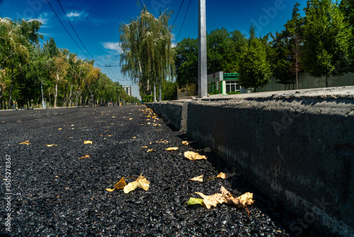 Bilde på lerret Newly constructed blacktop surface with concrete edge, fallen dry leaves scattered