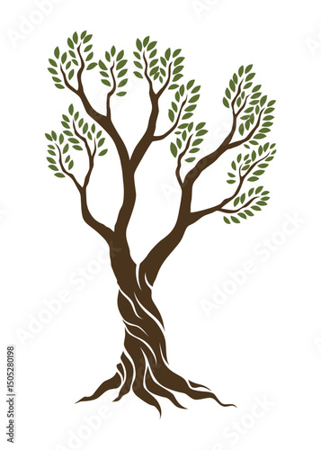 Olive trees with branches and leaves for design of packaging, label, logotype or banner. Natural organic stylized olive icon, premium quality sign. Vector illustration