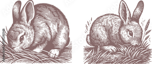 brown vintage color a Rabbit Nibbling on Grass – Hand-Drawn Engraving Animal Design for Print, Nature Themes,  Rustic Decor Projects
